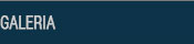 Galería